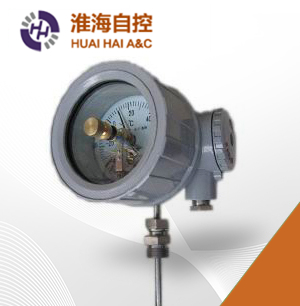 隔爆雙金屬溫度計(jì)